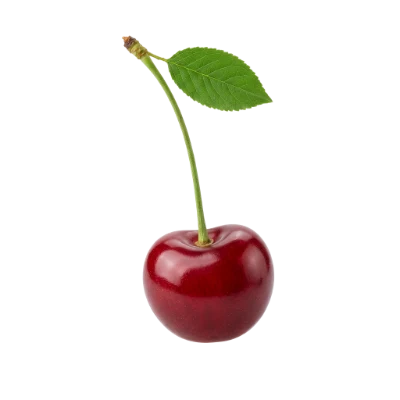 Fresh Red Cherry