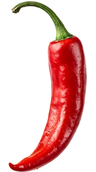 Fresh Red Chili Pepper
