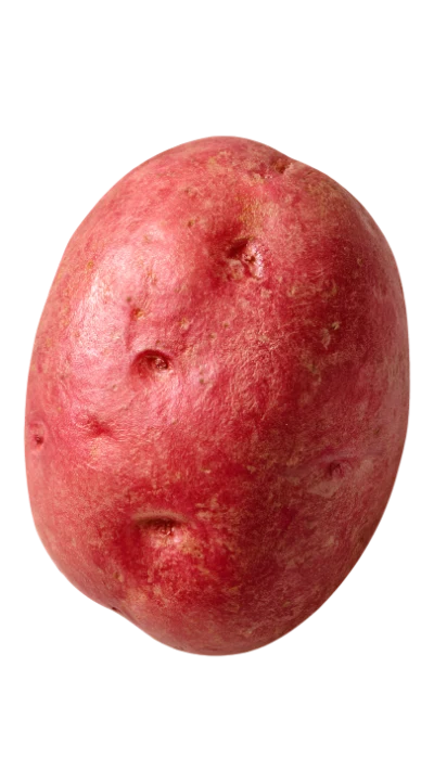 Fresh Red Potato