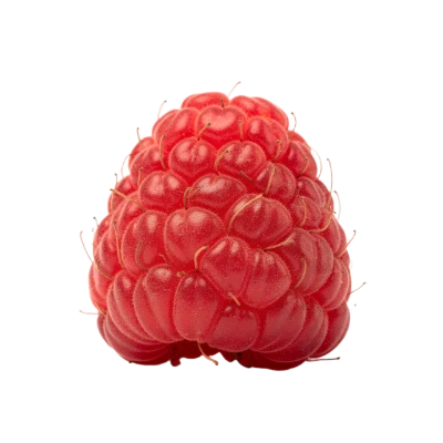 Fresh Red Raspberry