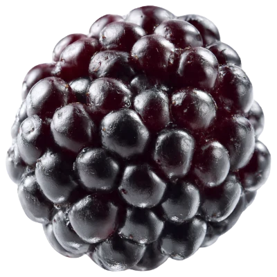 Fresh Ripe Blackberry