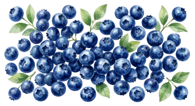 Fresh Ripe Blueberries