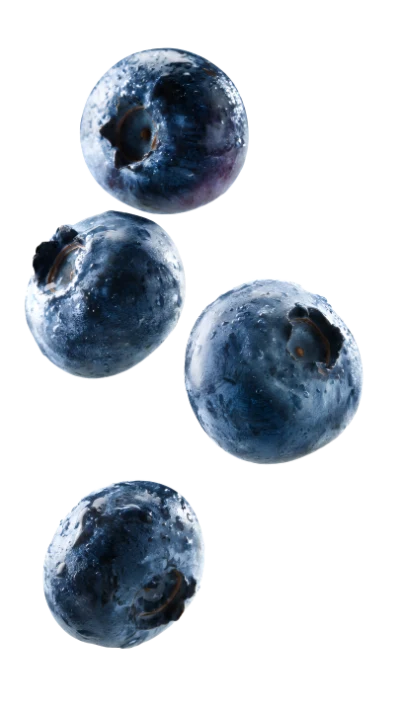 Fresh Ripe Blueberries