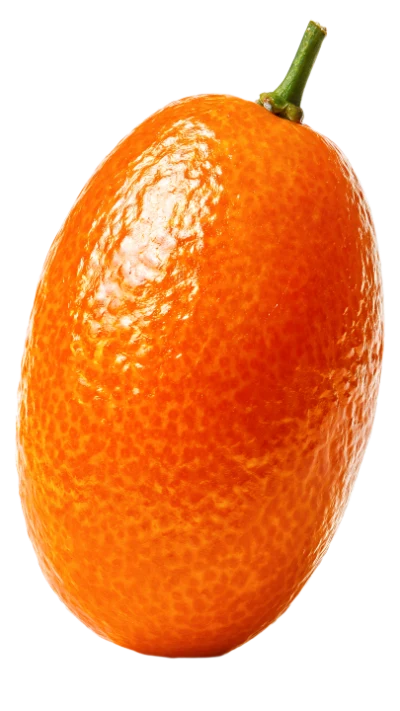Fresh Ripe Kumquat