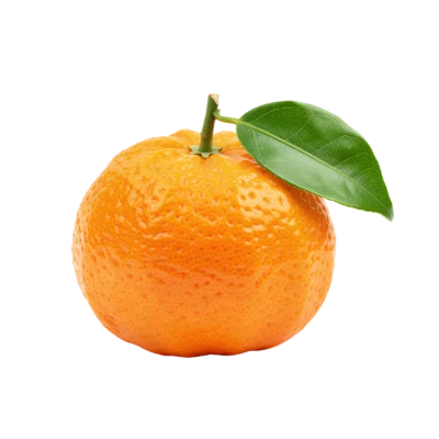 Fresh Ripe Mandarin Orange