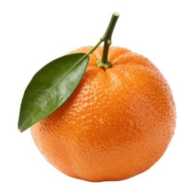 Fresh Ripe Mandarin Orange