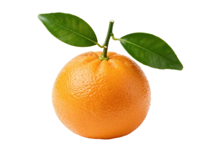 Fresh Ripe Orange