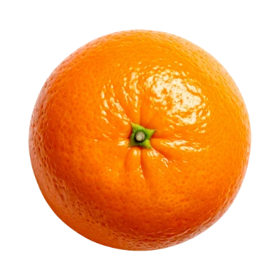 Fresh Ripe Orange