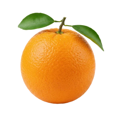 Fresh Ripe Orange