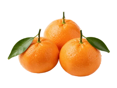 Fresh Ripe Oranges