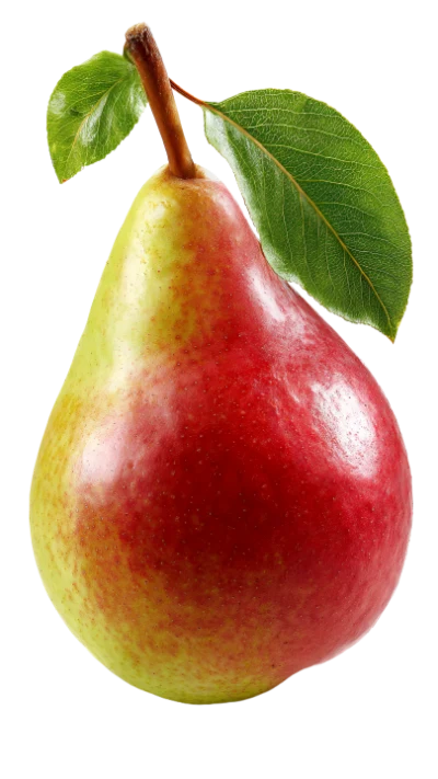 Fresh Ripe Pear