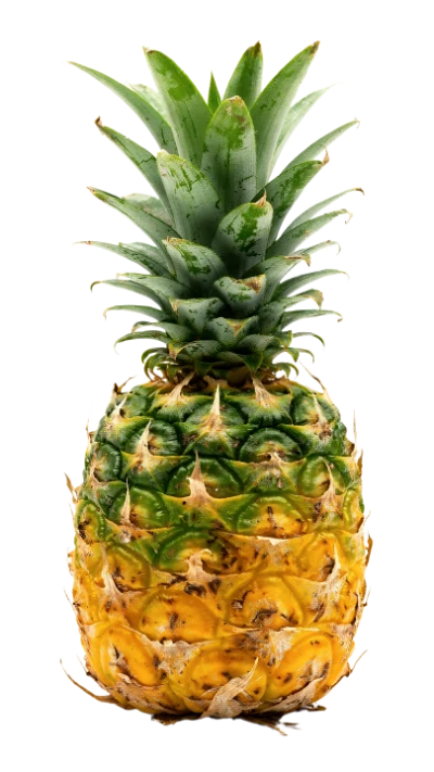 Fresh Ripe Pineapple