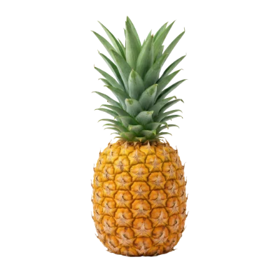 Fresh Ripe Pineapple