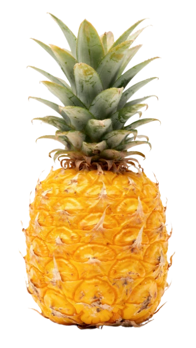 Fresh Ripe Pineapple