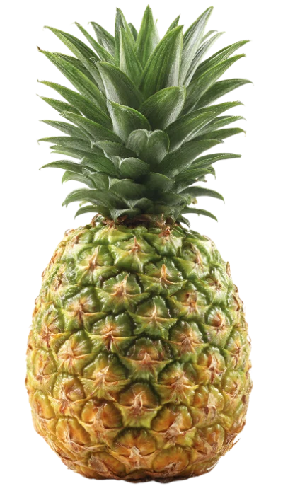 Fresh Ripe Pineapple