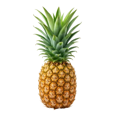 Fresh Ripe Pineapple