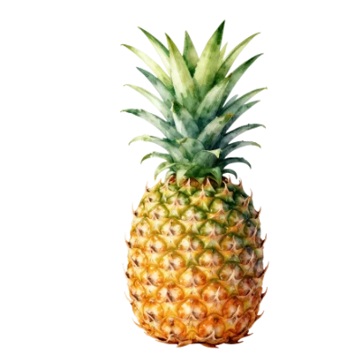 Fresh Ripe Pineapple
