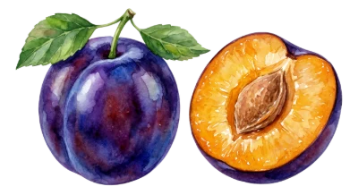 Fresh Ripe Plums