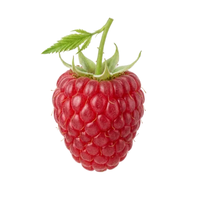Fresh Ripe Raspberry