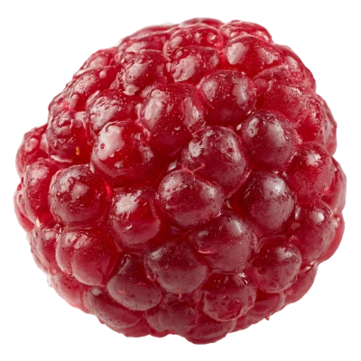 Fresh Ripe Red Raspberry