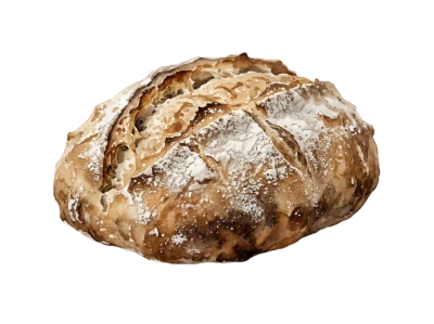 Fresh Sourdough Bread Loaf