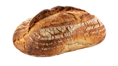 Fresh Sourdough Bread Loaf
