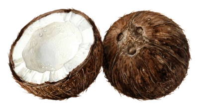 Fresh Tropical Coconut