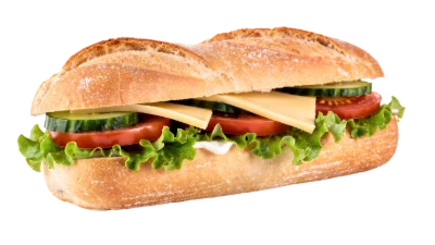 Fresh Vegetable Cheese Sandwich