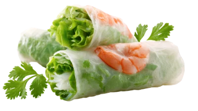 Fresh Vietnamese Spring Rolls