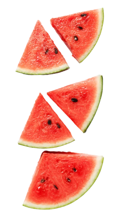 Fresh Watermelon Fruit Slices