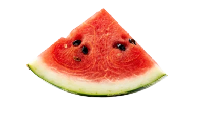 Fresh Watermelon Slice