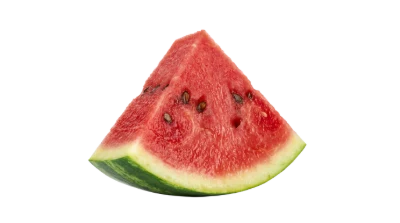 Fresh Watermelon Slice