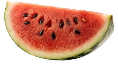 Fresh Watermelon Slice