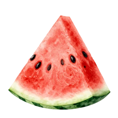 Fresh Watermelon Slice
