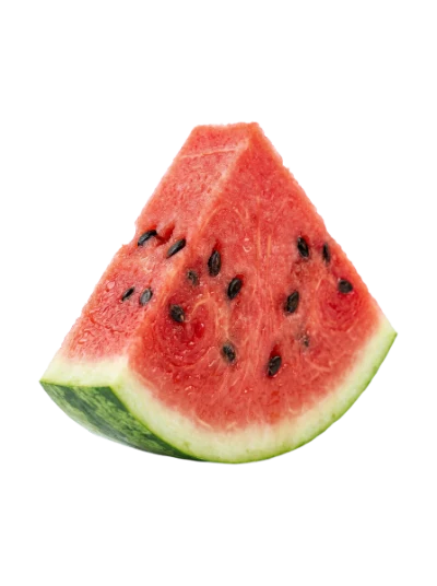 Fresh Watermelon Slice