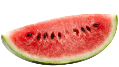 Fresh Watermelon Slice