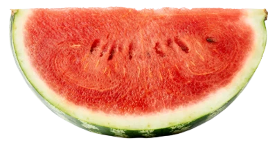 Fresh Watermelon Slice