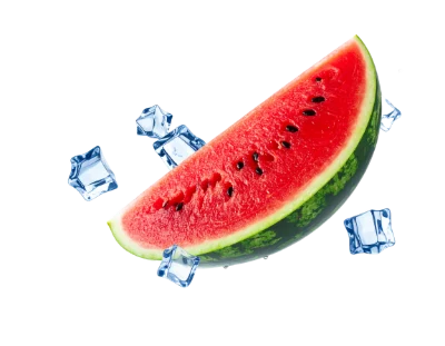 Fresh Watermelon Slice