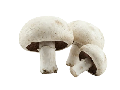 Fresh White Button Mushrooms