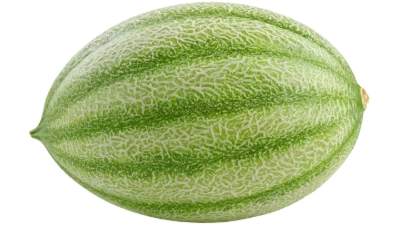 Fresh Whole Cantaloupe Melon