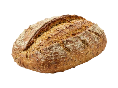 Fresh Whole Grain Bread