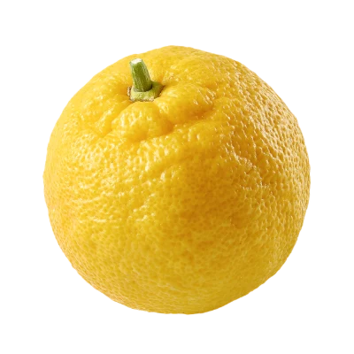Fresh Whole Yuzu Fruit
