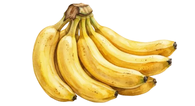 Fresh Yellow Banana Bunch
