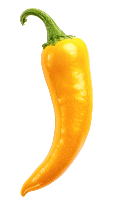 Fresh Yellow Chili Pepper