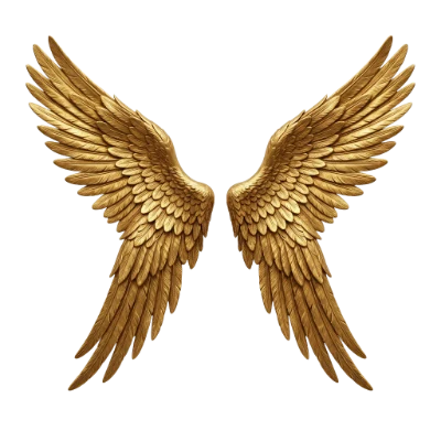 Golden Angel Wings