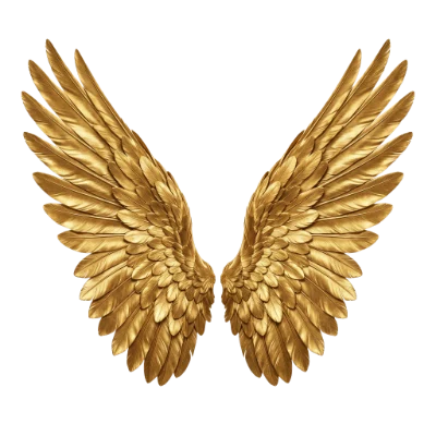 Golden Angel Wings