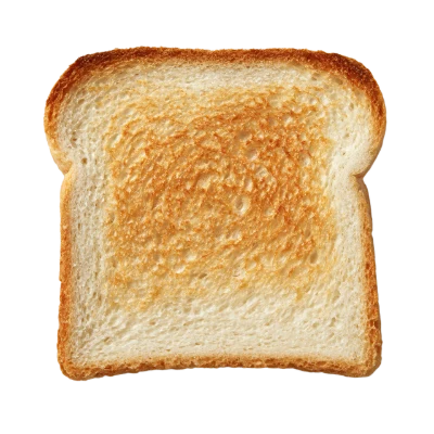 Golden Brown Toast Slice
