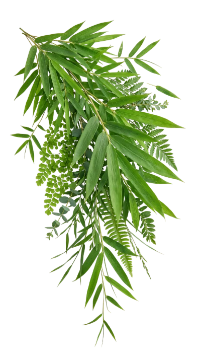 Green Bamboo Leaf Branch