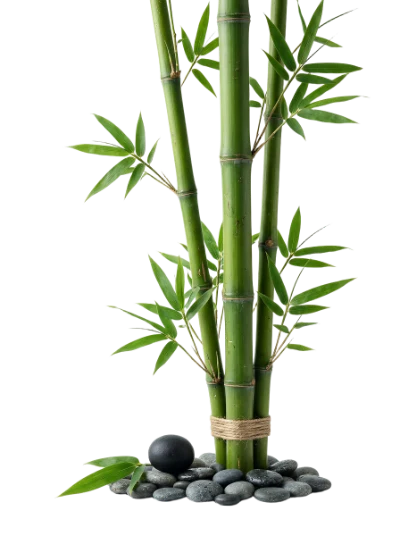 Green Bamboo Stalks