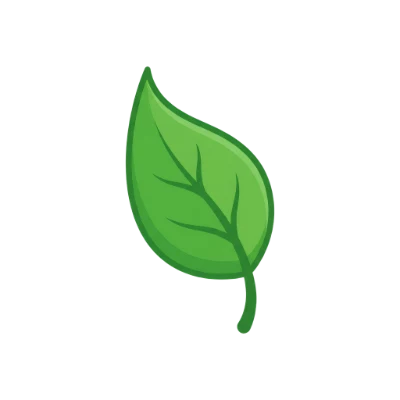 Green Leaf Illustration